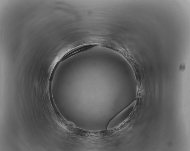 X0000090630099200707241202