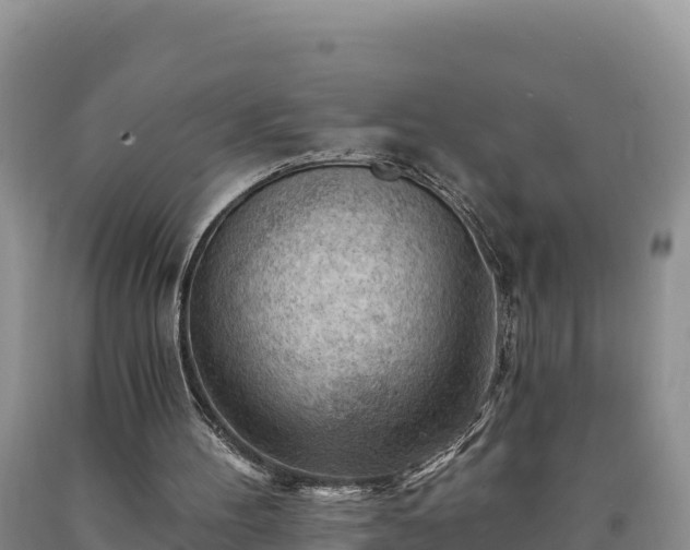 X0000090630100200707241202