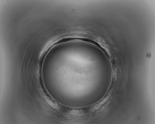 X0000090630101200707241202