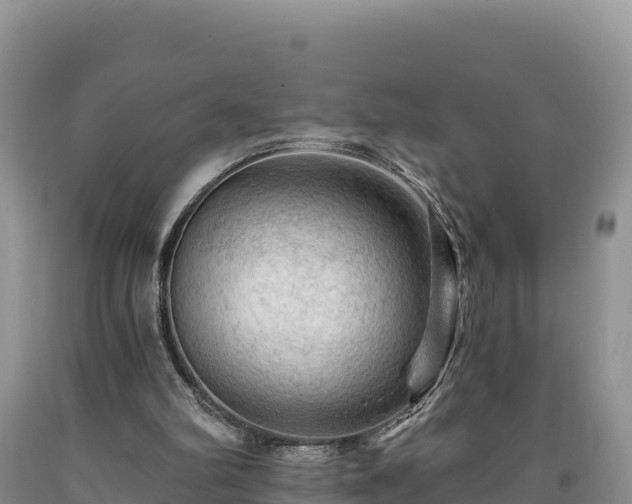 X0000090630102200707241202