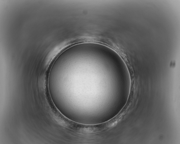 X0000090630103200707241202