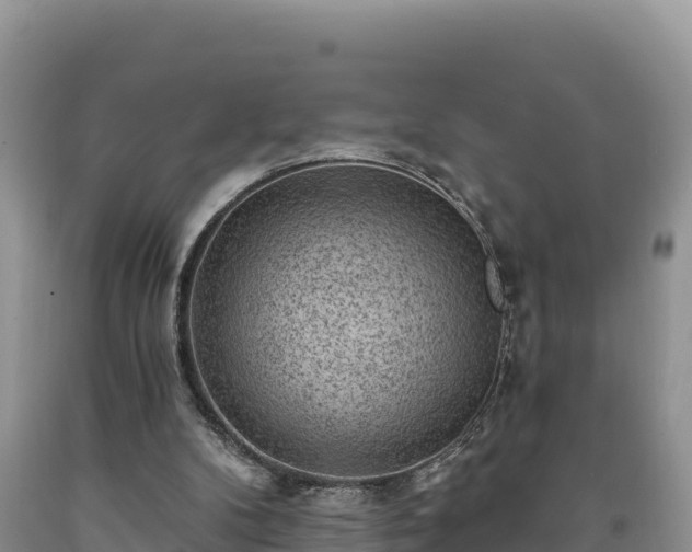 X0000090630104200707241202