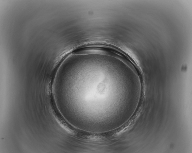 X0000090630105200707241202