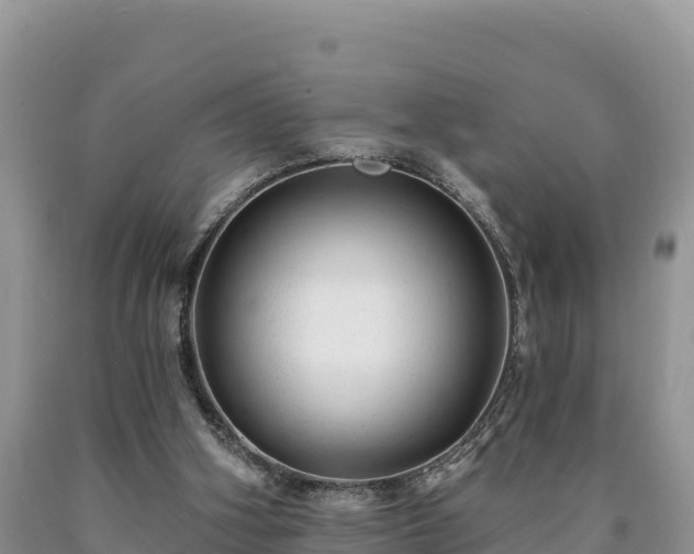 X0000090630106200707241201