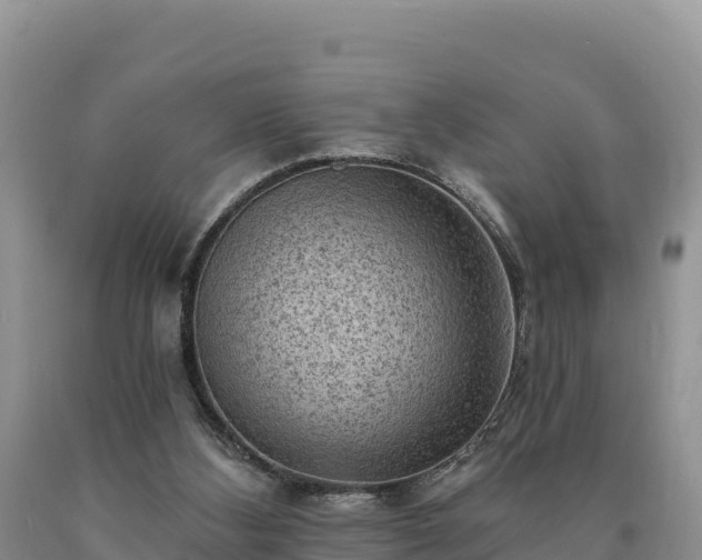 X0000090630108200707241201