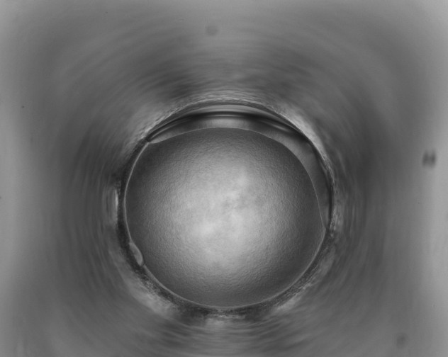 X0000090630109200707241201