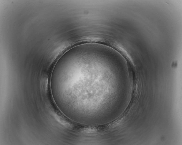 X0000090630110200707241201