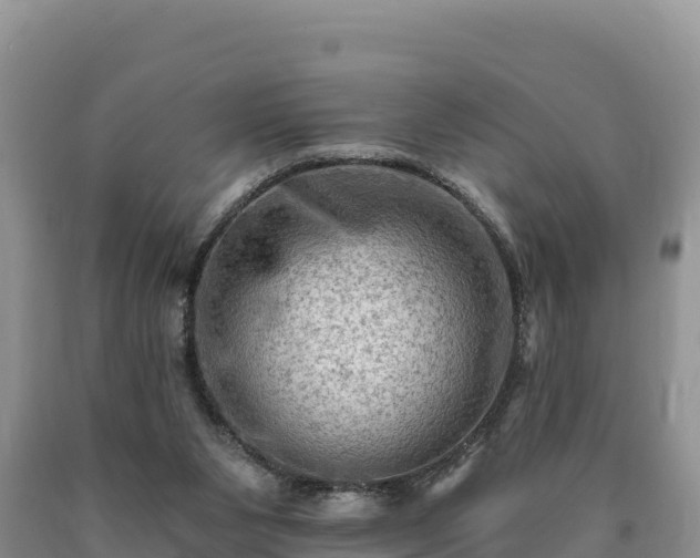 X0000090630111200707241201