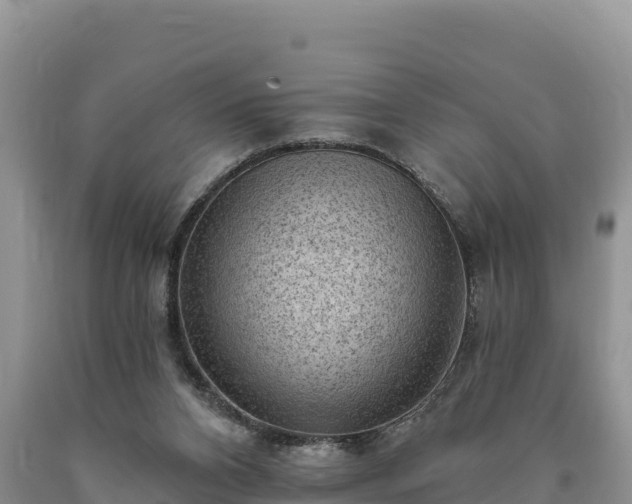 X0000090630112200707241201