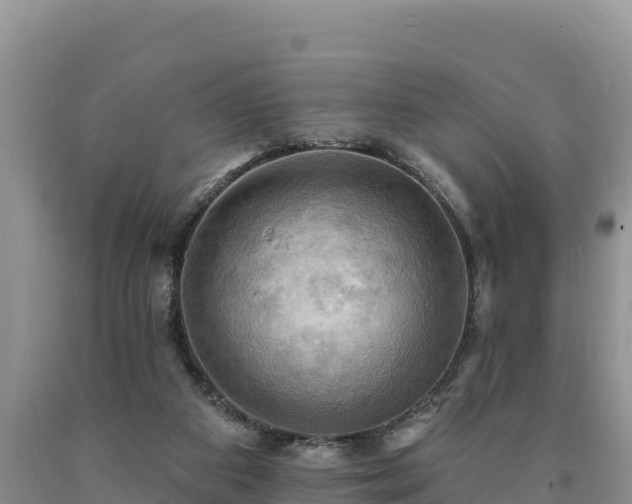 X0000090630113200707241201