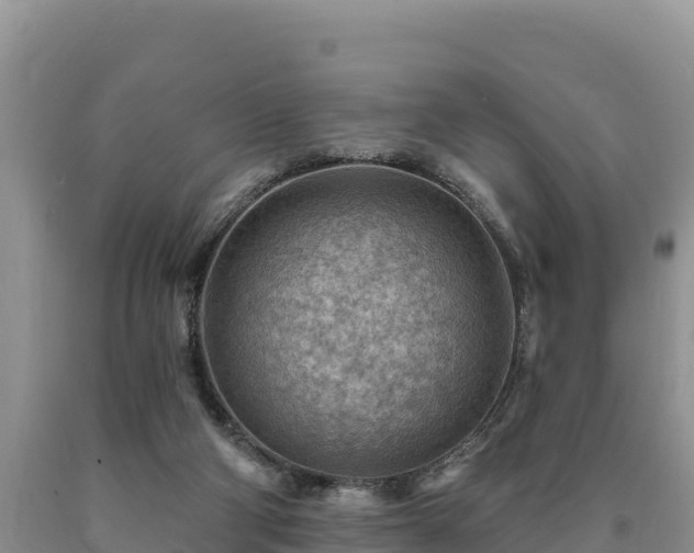 X0000090630114200707241201