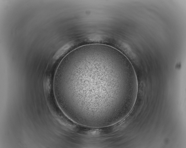 X0000090630116200707241201