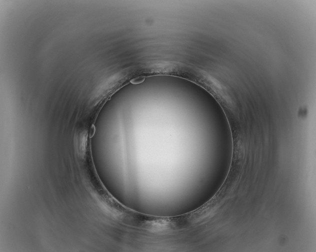 X0000090630118200707241201