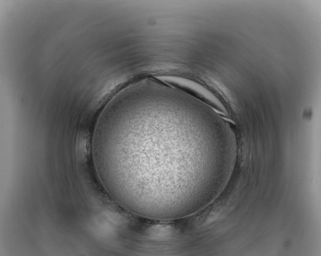 X0000090630119200707241201