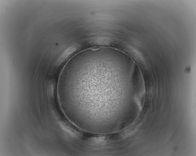 X0000090630120200707241201