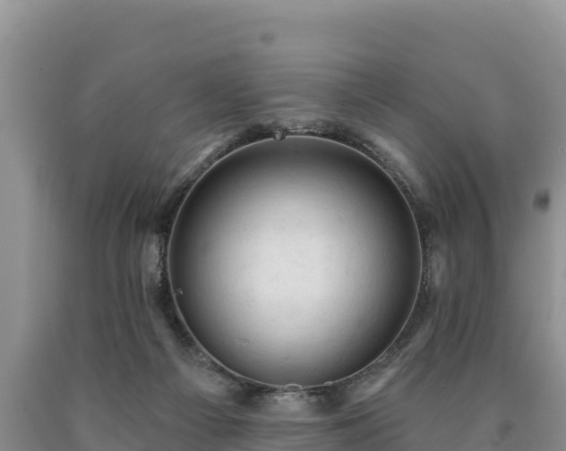 X0000090630121200707241201