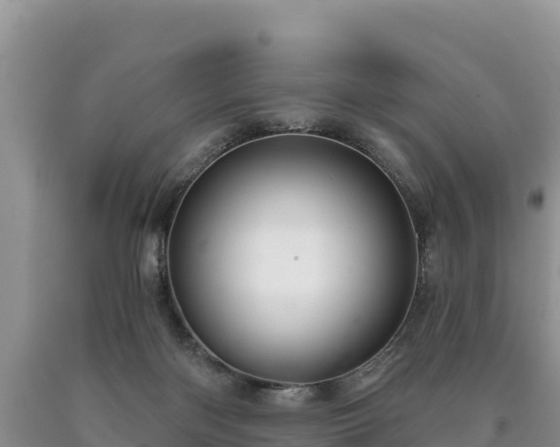 X0000090630122200707241201