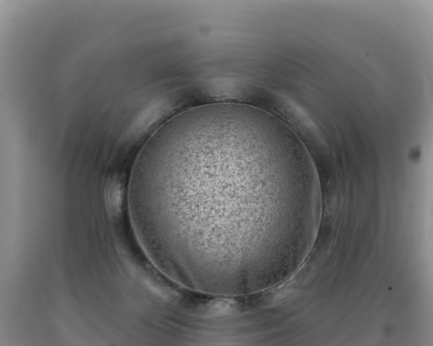 X0000090630124200707241201