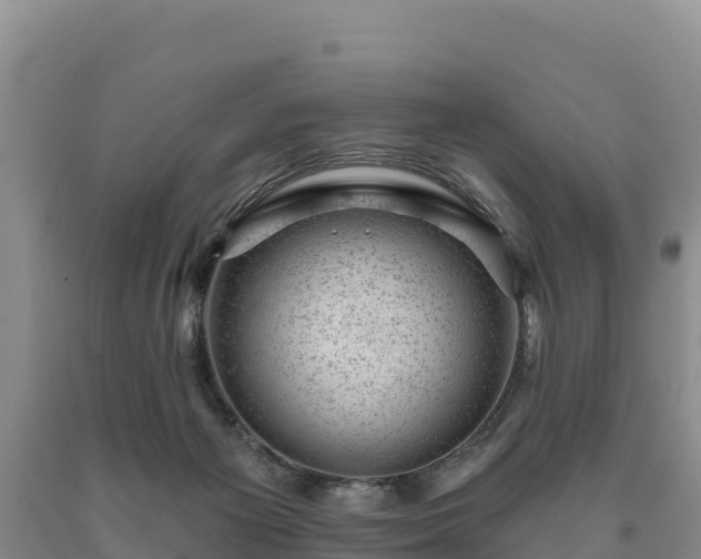 X0000090630125200707241201