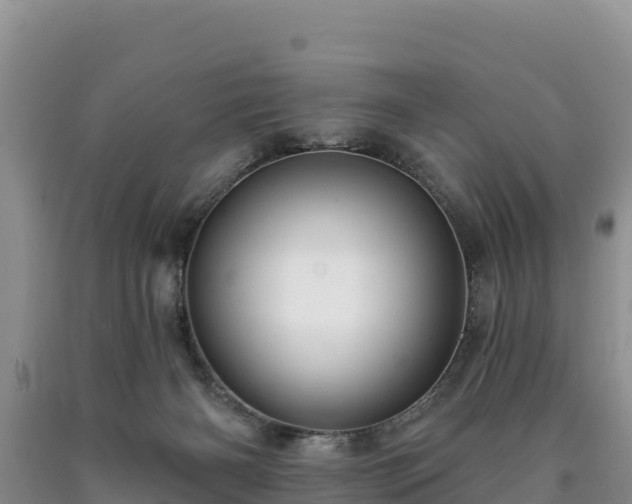 X0000090630126200707241201