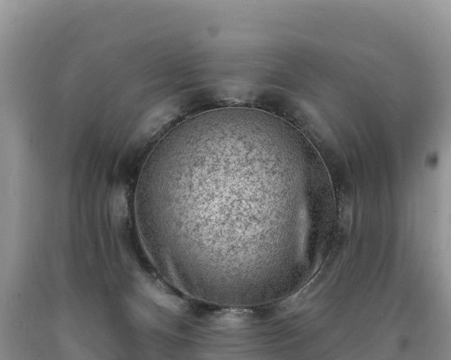 X0000090630128200707241201