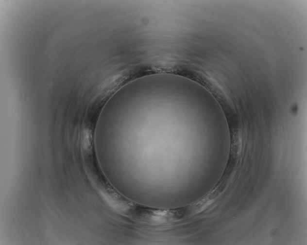X0000090630130200707241201