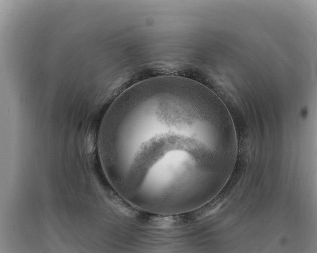 X0000090630131200707241201