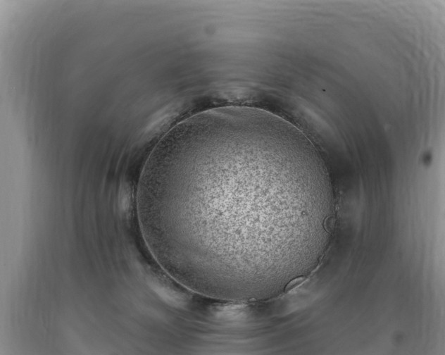 X0000090630132200707241201