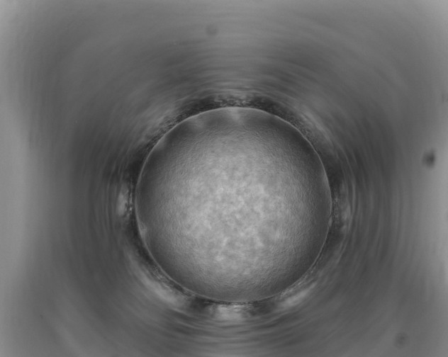 X0000090630134200707241201