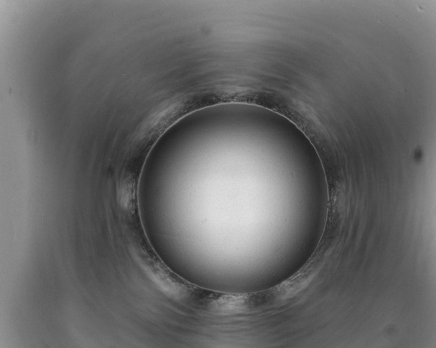 X0000090630138200707241201