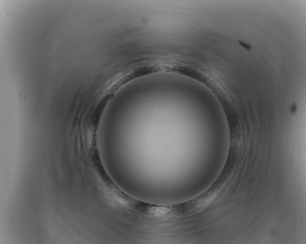 X0000090630139200707241201