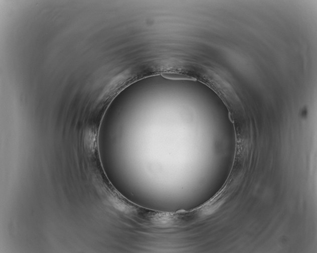 X0000090630142200707241201