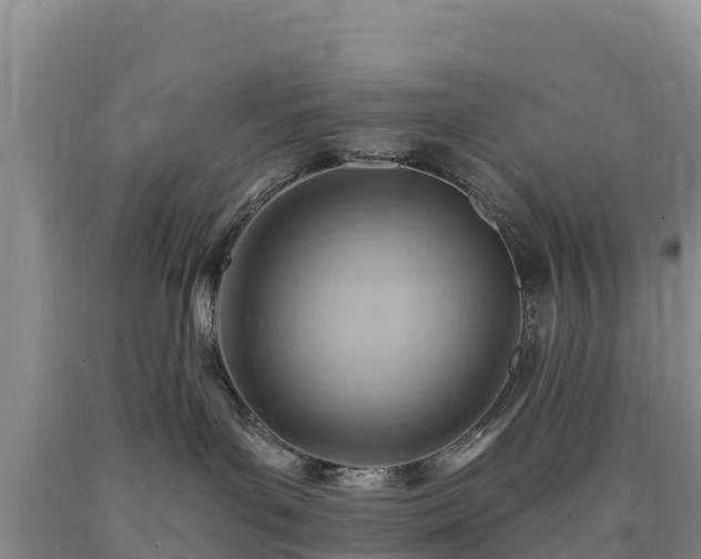 X0000090630143200707241201