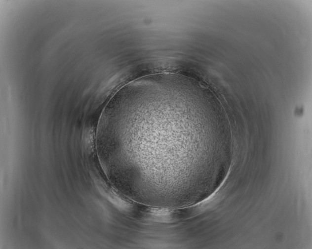 X0000090630144200707241201