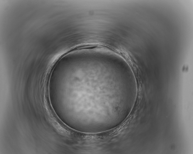 X0000090630145200707241200