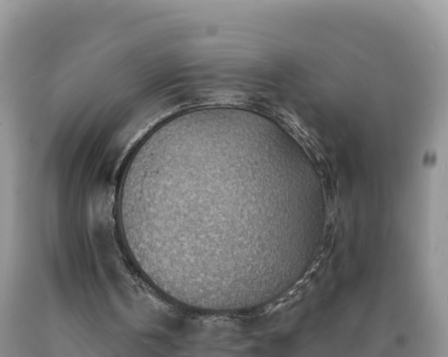 X0000090630146200707241200