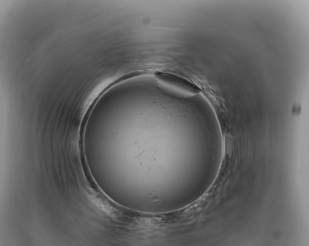 X0000090630147200707241200