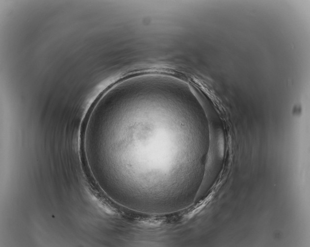 X0000090630148200707241200
