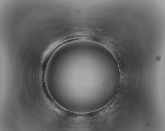 X0000090630149200707241200