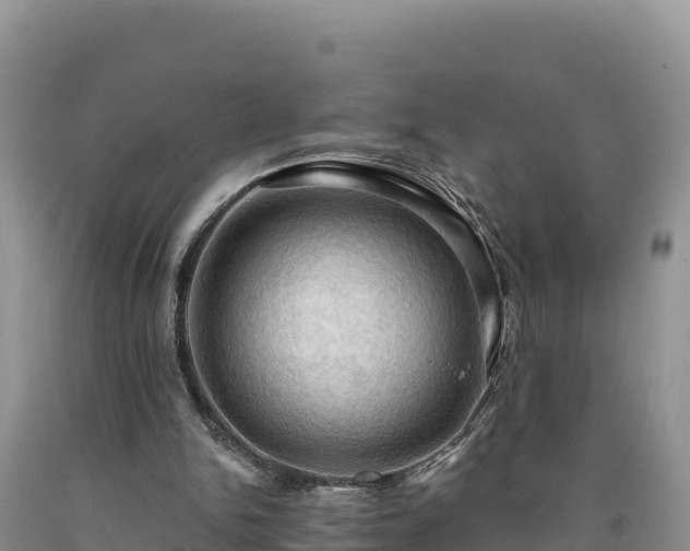 X0000090630150200707241200