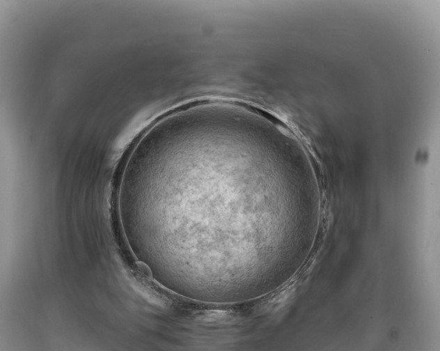 X0000090630151200707241200
