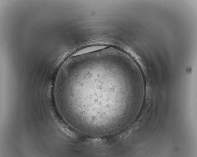X0000090630153200707241200