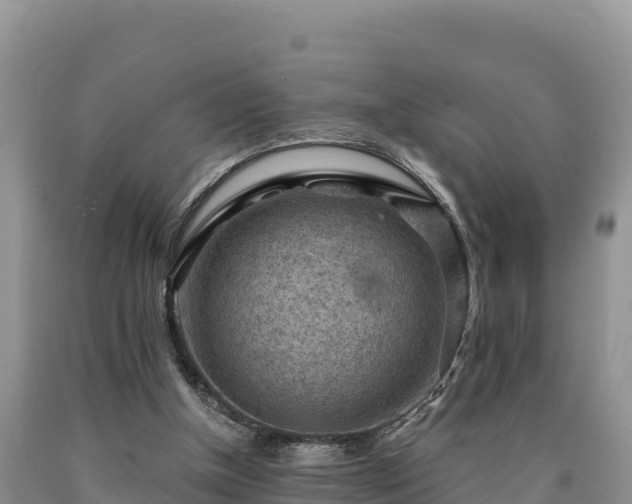 X0000090630154200707241200