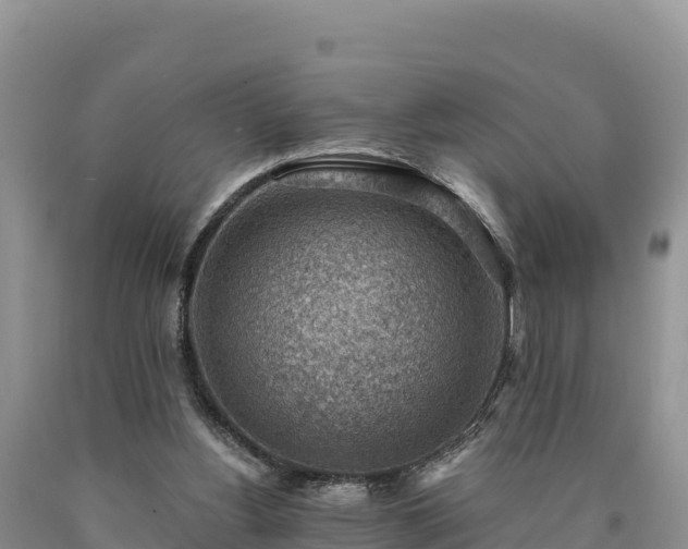 X0000090630156200707241200