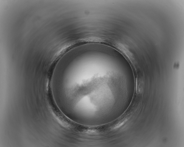 X0000090630157200707241200