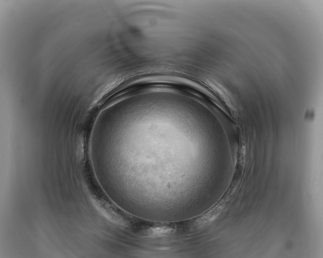 X0000090630158200707241200