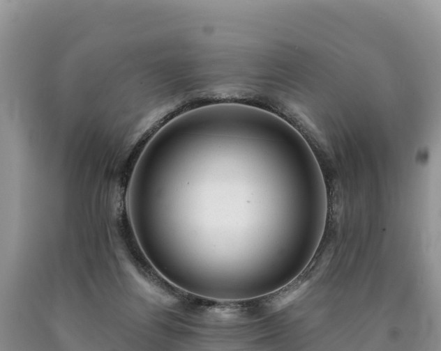 X0000090630164200707241200