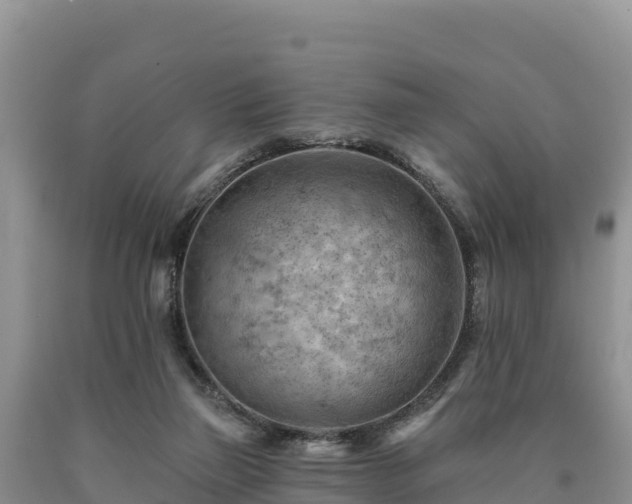 X0000090630165200707241200