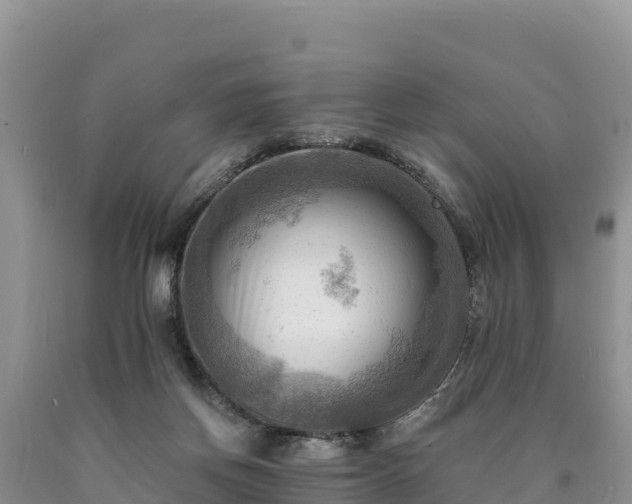 X0000090630166200707241200