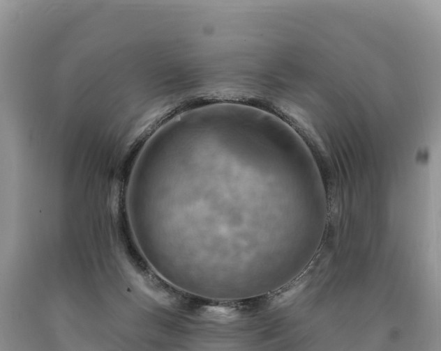 X0000090630167200707241200